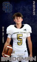 blake 1