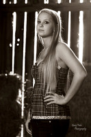 D7B_4207 b8x12x72