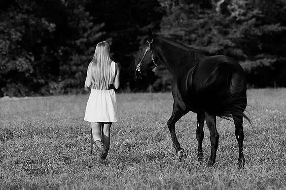 D7B_4308 b8x12x72