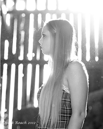 D7B_4197b8_10_72c
