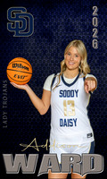 addison 2