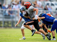 Greenback @ Sale Creek 8_7_26