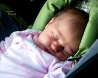 D3B_0771 b8x10x72
