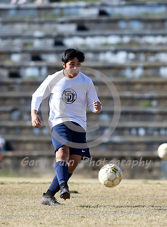 GF4_1133 b