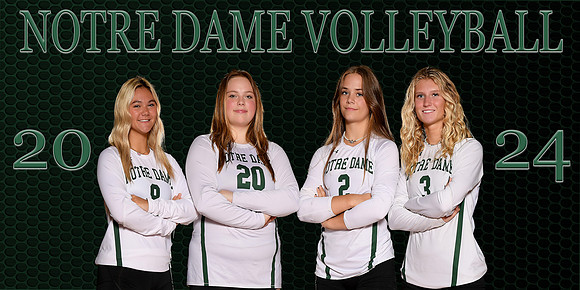 senior banner vb 2