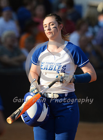 D4A_3608 b