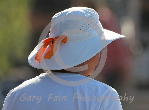 GF5_6911 b