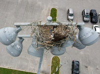 DJI_0083