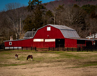 D7A_0634 b11x14x72