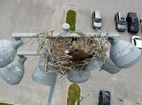 DJI_0084 b