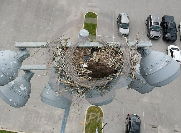 DJI_0084 b