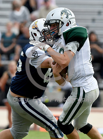 GF5_0817 b