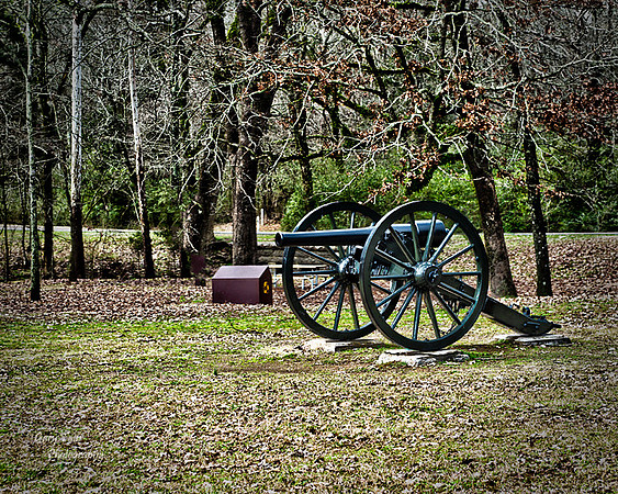 cannon_HDR4 b72