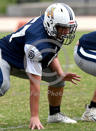 GF5_0811 b