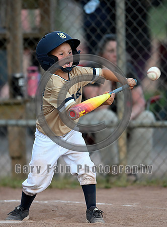 5_24_24_263