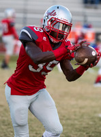 D4A_2324 b