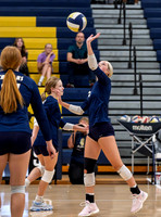 Soddy Daisy Blue/Gold 8_7_25